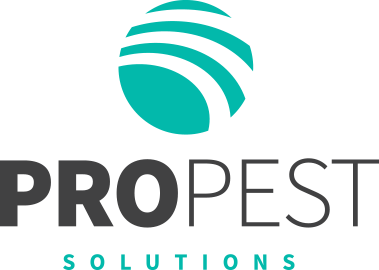 Propest Solutions